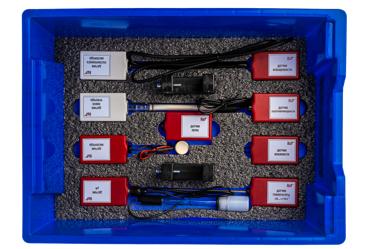 Цифровая лаборатория по экологии для реализации сети школьного экологического мониторинга