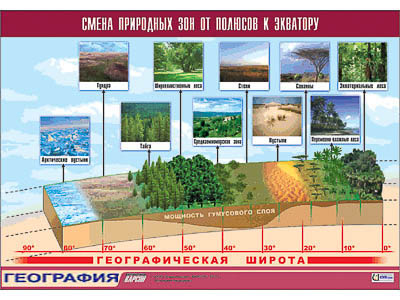 Таблица демонстрационная "Смена природных зон от полюсов к экватору" (винил 70x100)