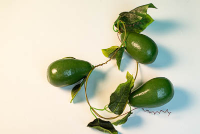 Ветка муляжей "Авокадо"