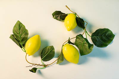 Ветка муляжей "Лимон"