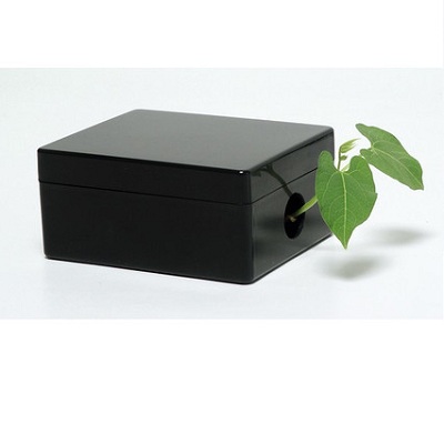 Комплект лабораторного оборудования "От зародыша до взрослого растения (организма)"