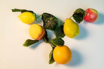 Ветка муляжей "Ассорти"