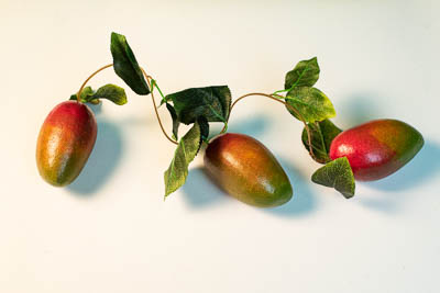 Ветка муляжей "Манго"