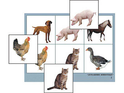 Лото "Домашние животные" (4 планшета, 24 карт., цвет., ламинир.)