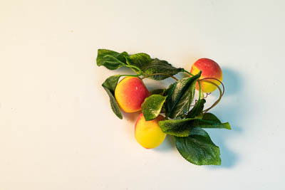 Ветка муляжей "Абрикос"