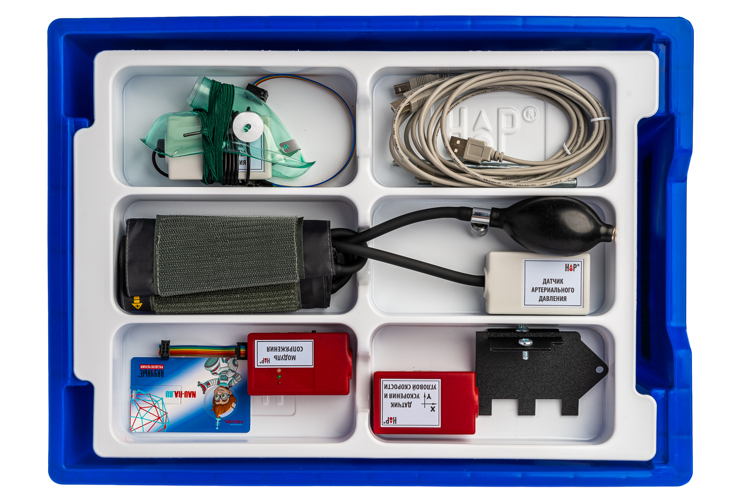 Цифровая лаборатория по физиологии