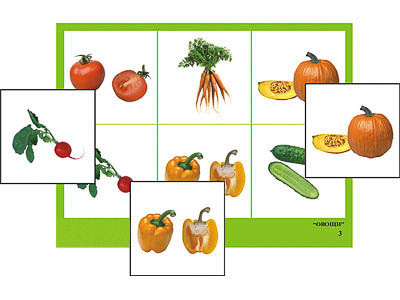 Лото "Овощи" (4 планшета, 24 карт., цвет., ламинир.)