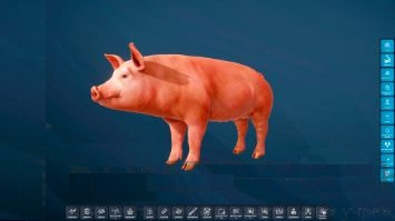 Виртуальный учебный комплекс "Интерактивный трехмерный атлас анатомии свиньи"