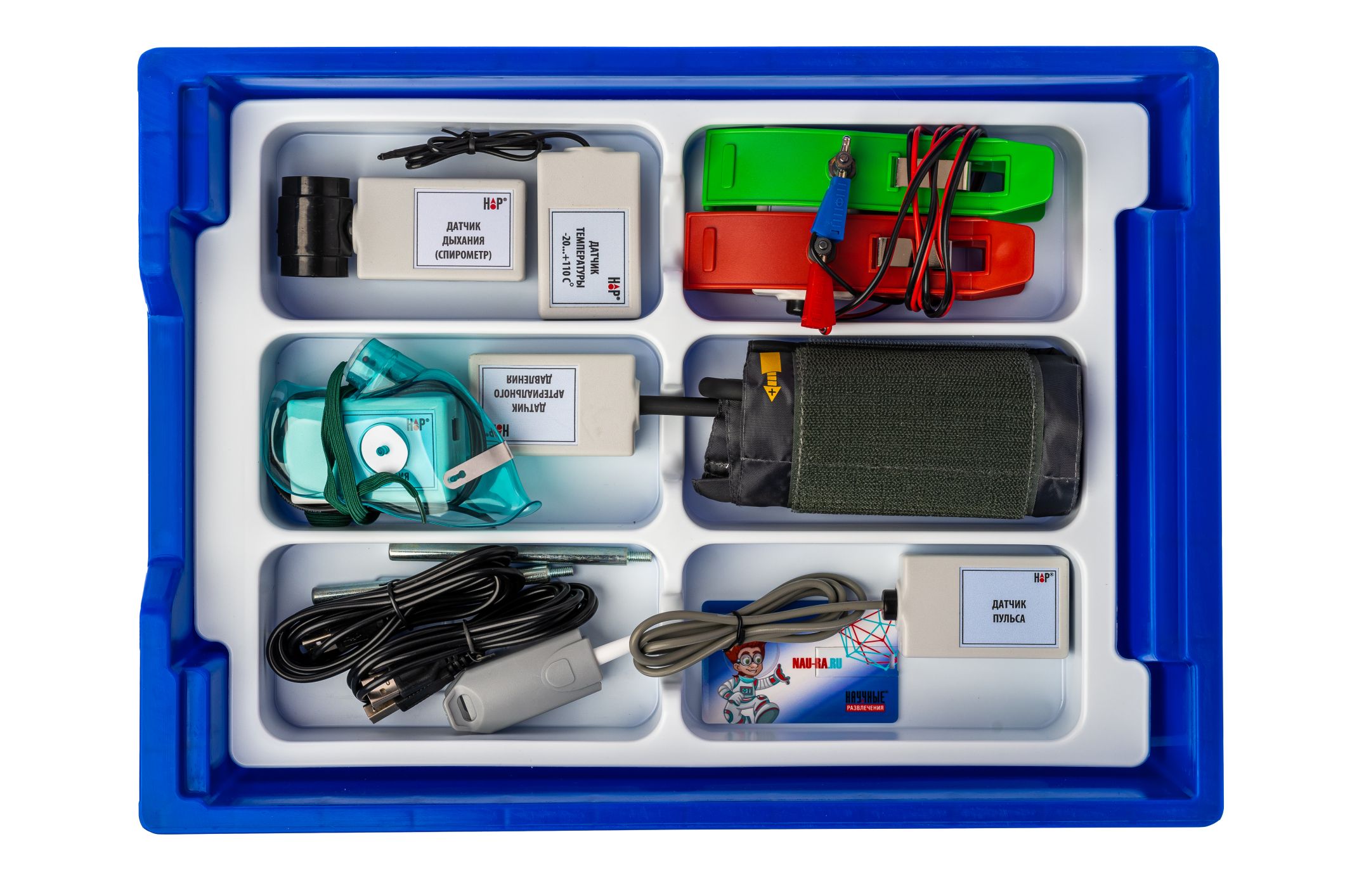 Цифровая лаборатория по физиологии (базовый уровень)