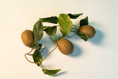 Ветка муляжей "Киви"