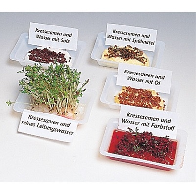 Комплект лабораторного оборудования "От зародыша до взрослого растения (организма)"