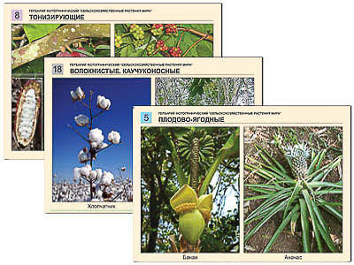 Гербарий фотографический "Сельскохозяйственные растения мира"