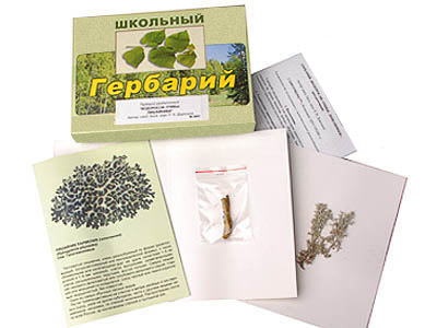 Водоросли. Грибы. Лишайники" (раздаточный)