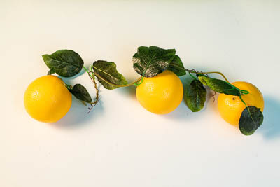 Ветка муляжей "Апельсин"