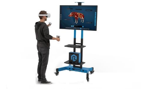 Виртуальный учебный комплекс "Интерактивный трехмерный атлас анатомии свиньи"