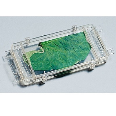 Комплект лабораторного оборудования "От зародыша до взрослого растения (организма)"