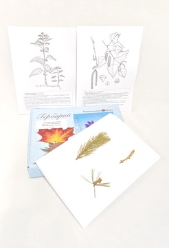 Гербарий Экология растений: растения различных экологических систем 24 вида