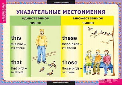 Таблицы демонстрационные "Существительные. Прилагательные. Числительные"