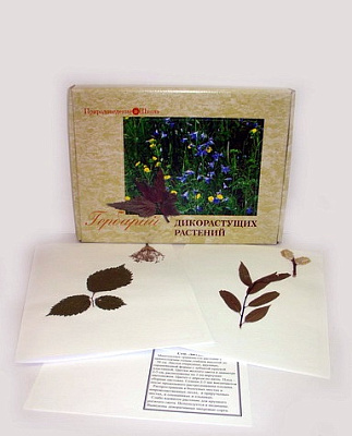 Гербарий «Дикорастущие растения» (28 видов)