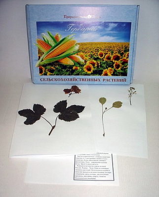 Гербарий «Сельскохозяйственные растения» (28 видов)
