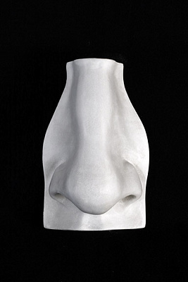 Гипсовая модель "Нос человека"