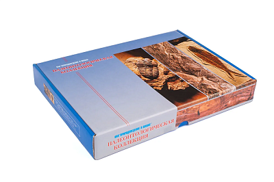 Палеонтологическая коллекция