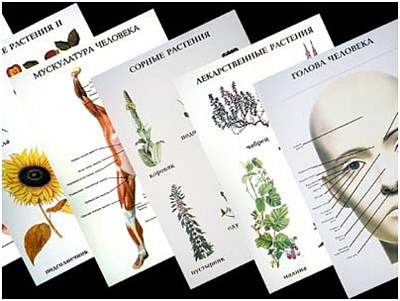 Комплект таблиц "Природоведение. Наглядные пособия" (46 таблиц)