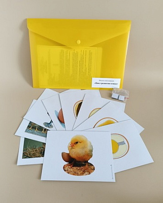 Модель-аппликация «Цикл развития птицы»