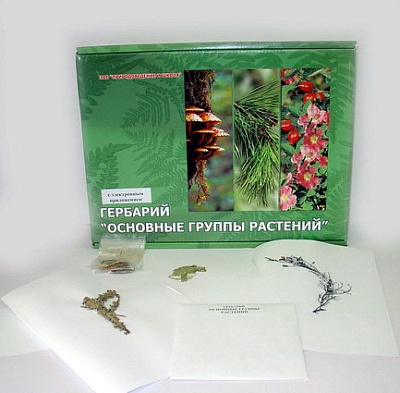 Гербарий «Основные группы растений» (52листа)