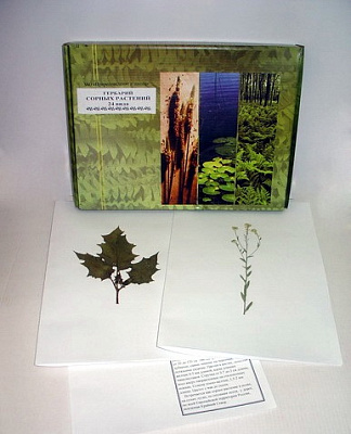 Гербарий «Сорные растения» (24 вида)