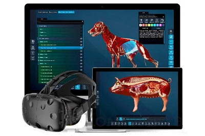 Виртуальный учебный комплекс "Интерактивный трехмерный атлас анатомии свиньи"