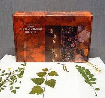 Гербарий для начальной школы (28 видов)