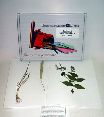 Гербарий "Кормовые растения" (20 видов) формат А-3	